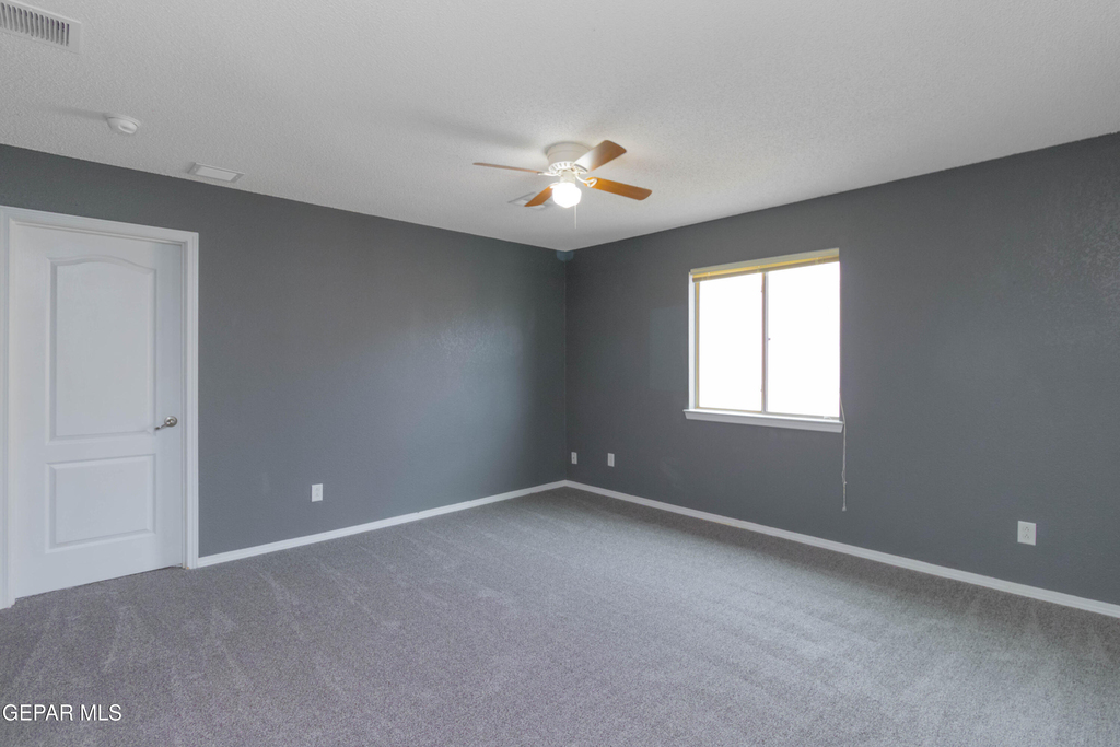 11612 Mesquite Miel Drive - Photo 26