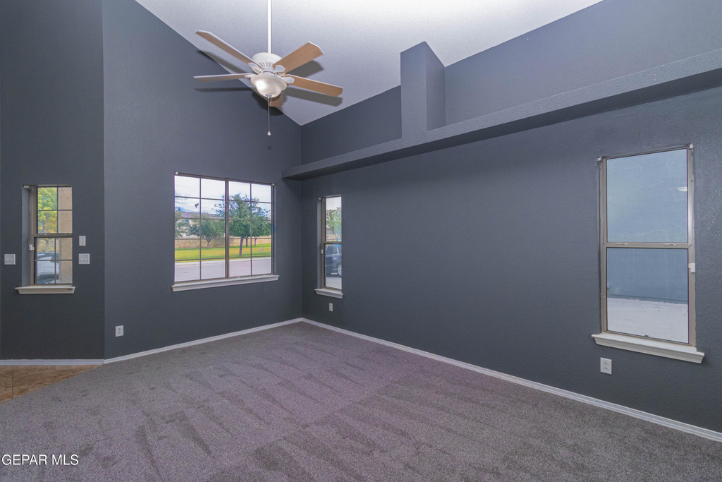 11612 Mesquite Miel Drive - Photo 20