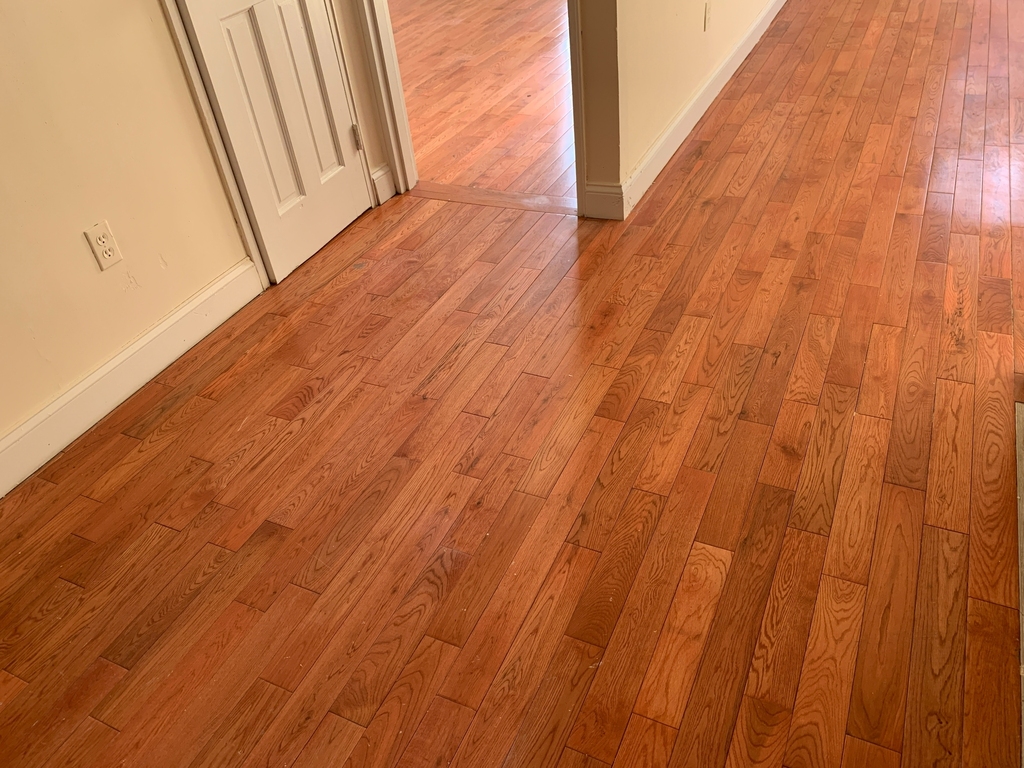 Ocean Avenue - Photo 10