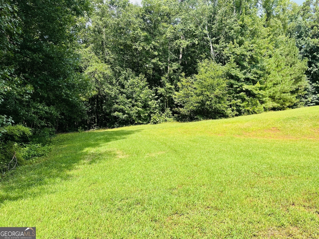 185 Hidden Brook Trail - Photo 51