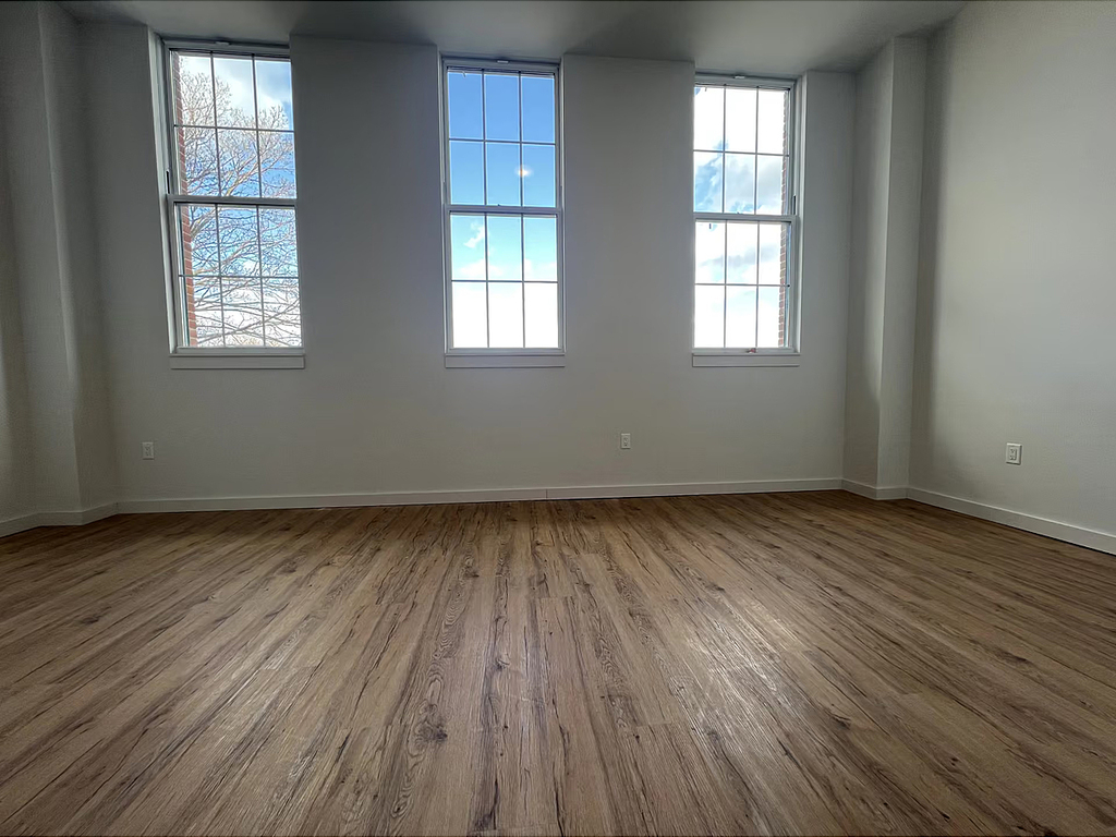 991 St Johns Pl Crown Heights - Photo 5