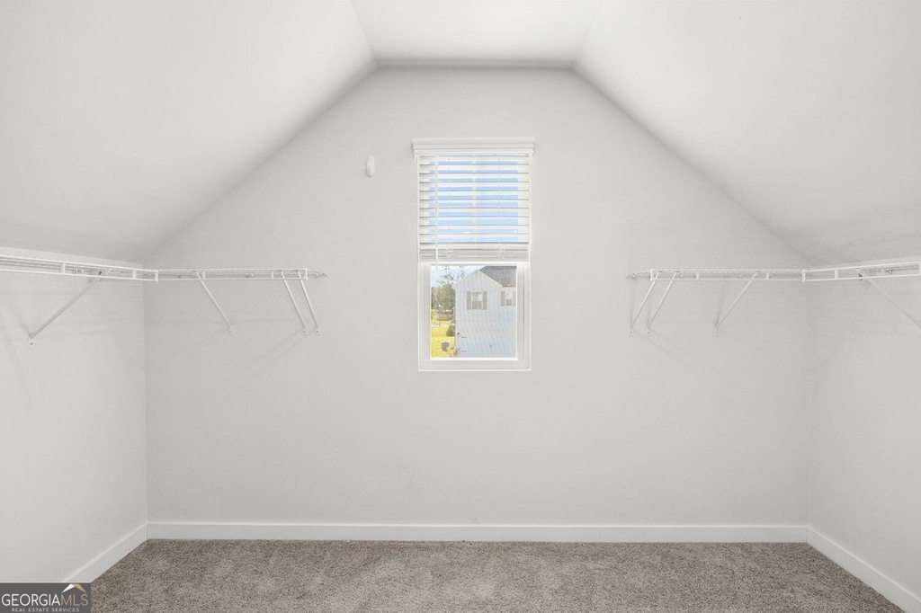 2532 Brown Dove Way - Photo 20