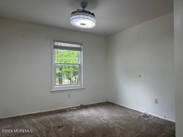 127 Bedford Place - Photo 5