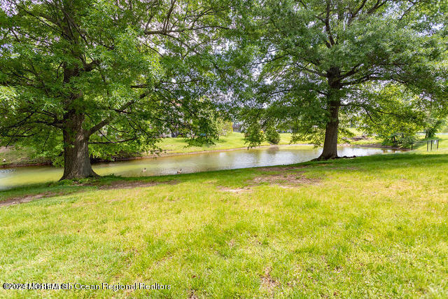 127 Bedford Place - Photo 26