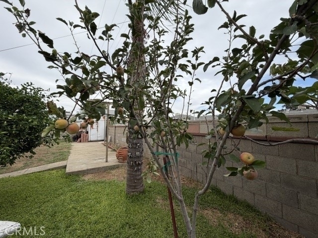 7773 Kempster - Photo 35