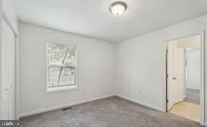 16 Placid Road - Photo 16