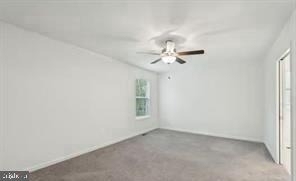 16 Placid Road - Photo 19