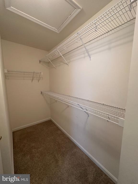 43115 Forest Edge Square - Photo 14