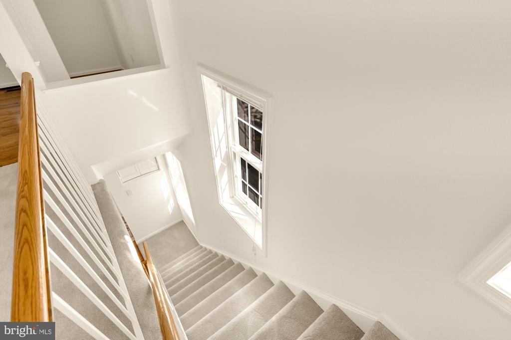 19 Fendall Avenue - Photo 13