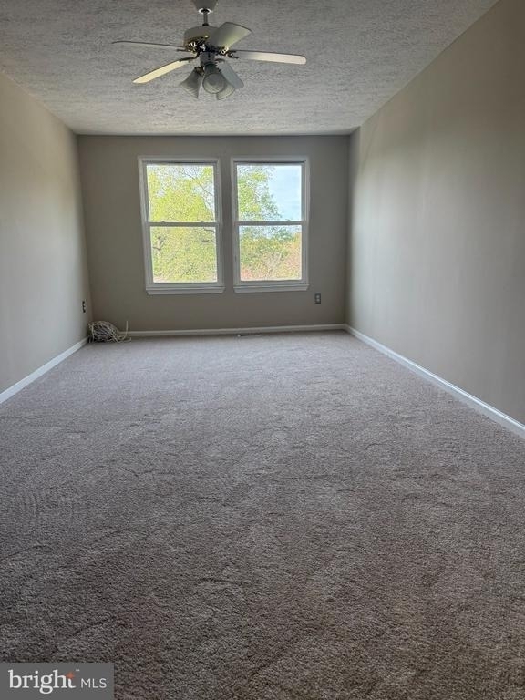 304 Legato Terrace - Photo 10
