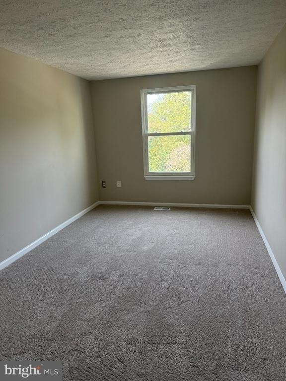 304 Legato Terrace - Photo 11
