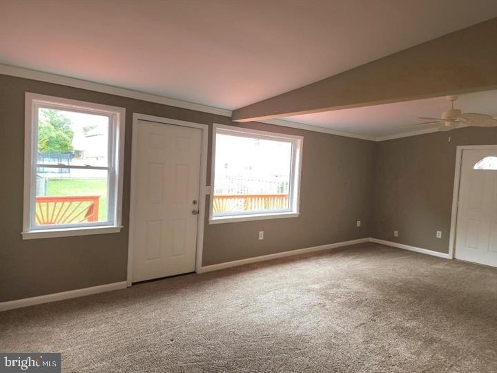 1426 Pine Whiff Avenue - Photo 10