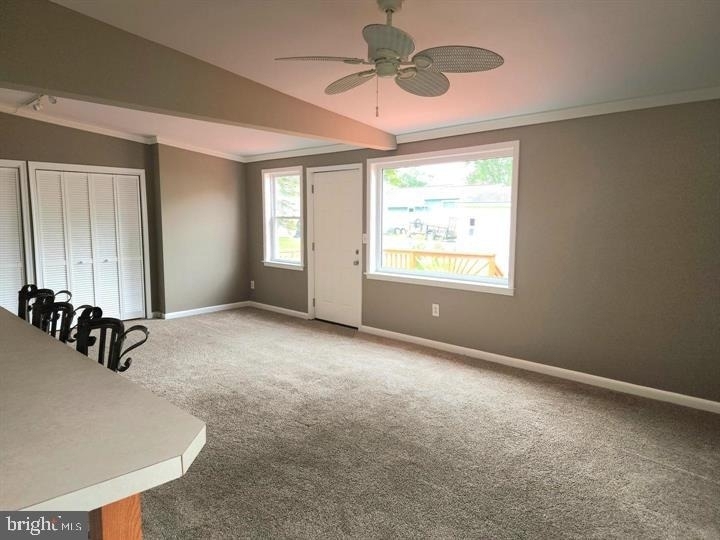 1426 Pine Whiff Avenue - Photo 12