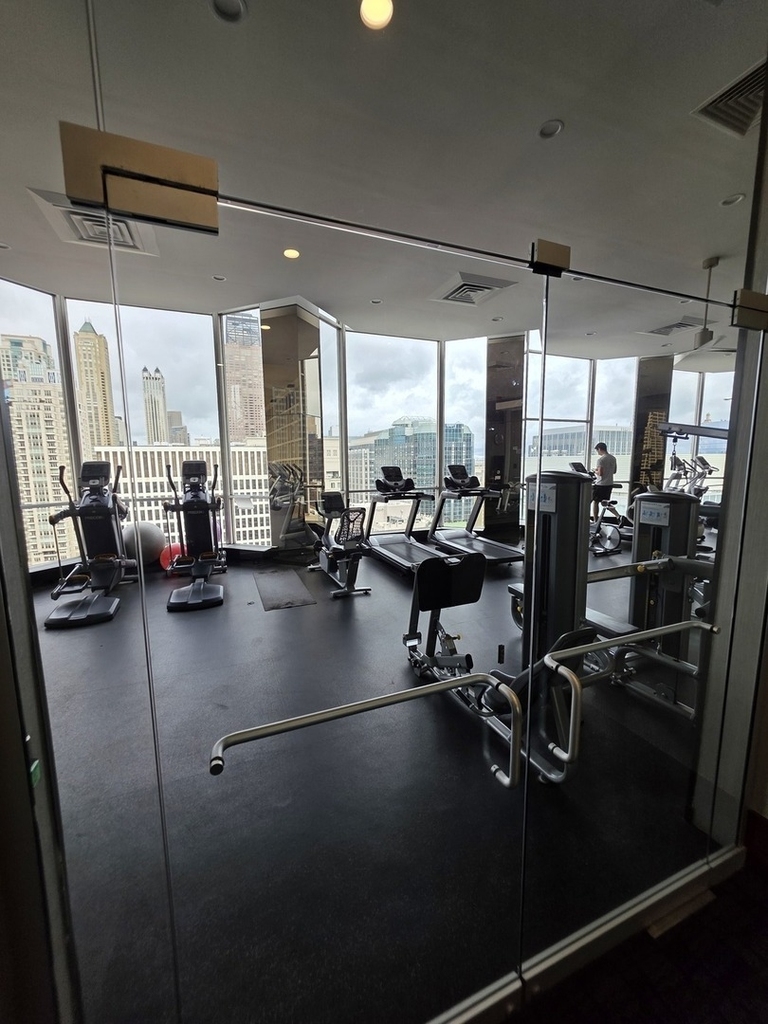 535 N Michigan Avenue - Photo 13