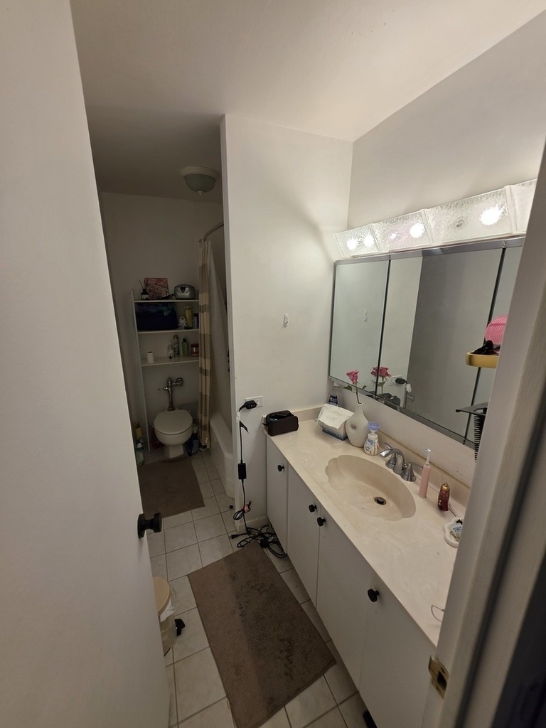 535 N Michigan Avenue - Photo 9