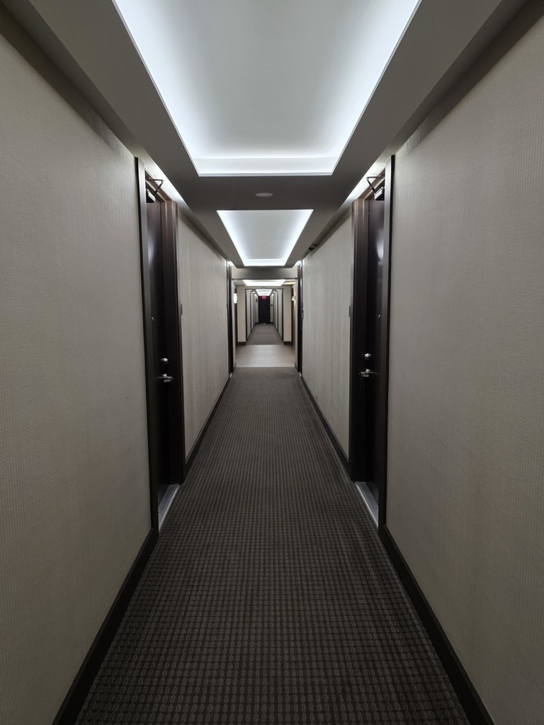 535 N Michigan Avenue - Photo 2