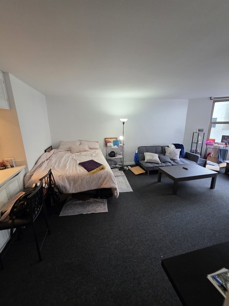 535 N Michigan Avenue - Photo 4