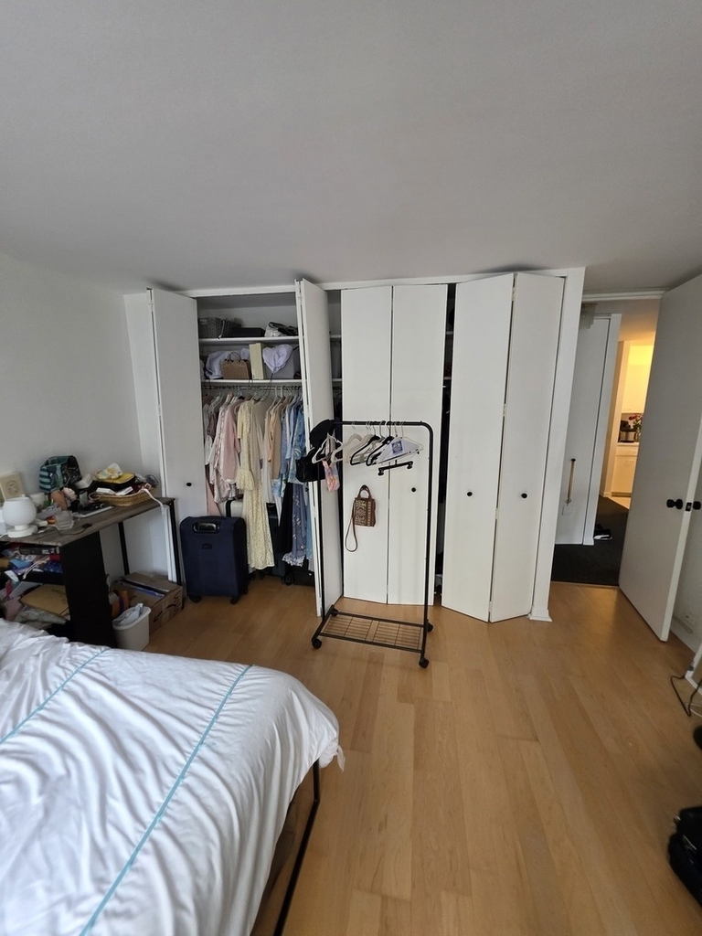 535 N Michigan Avenue - Photo 8