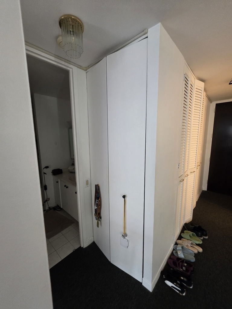 535 N Michigan Avenue - Photo 11