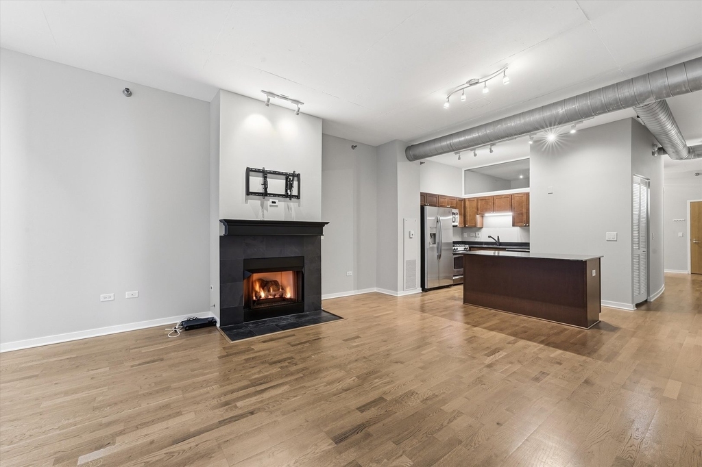 700 N Larrabee Street - Photo 9