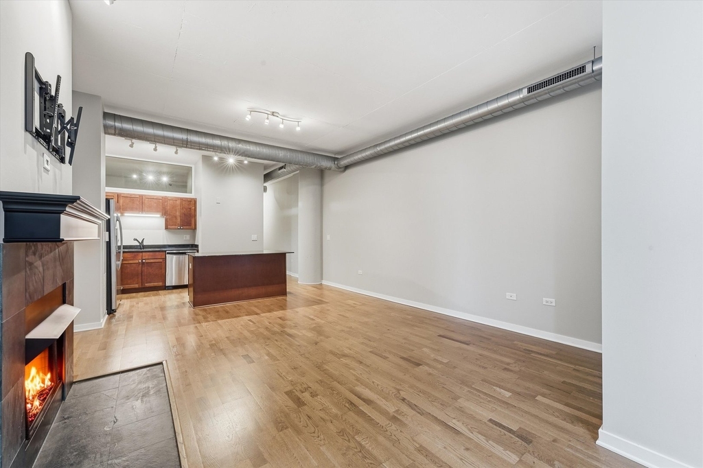 700 N Larrabee Street - Photo 5