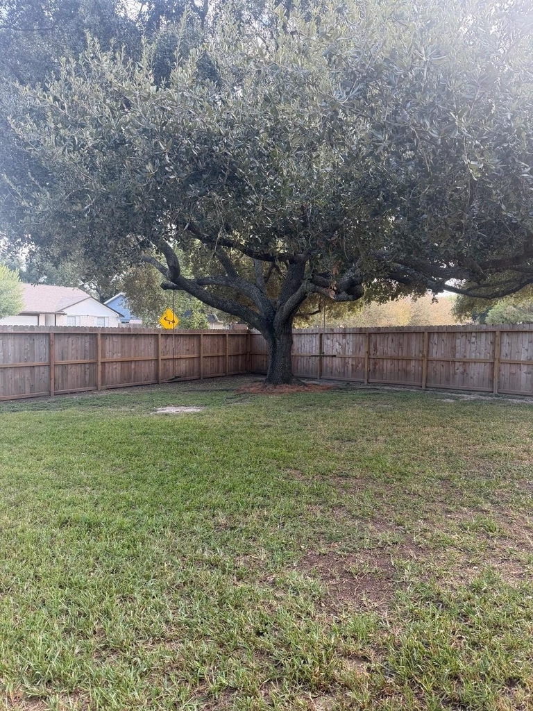 10103 Ash Fork Drive - Photo 28