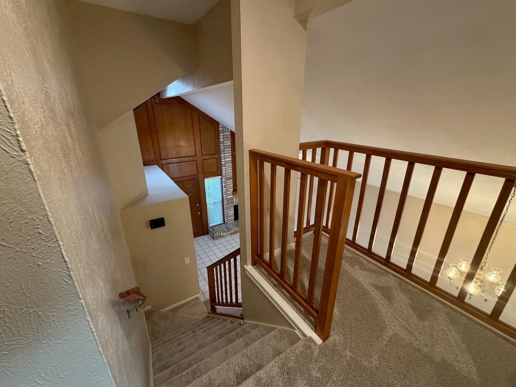 10103 Ash Fork Drive - Photo 24