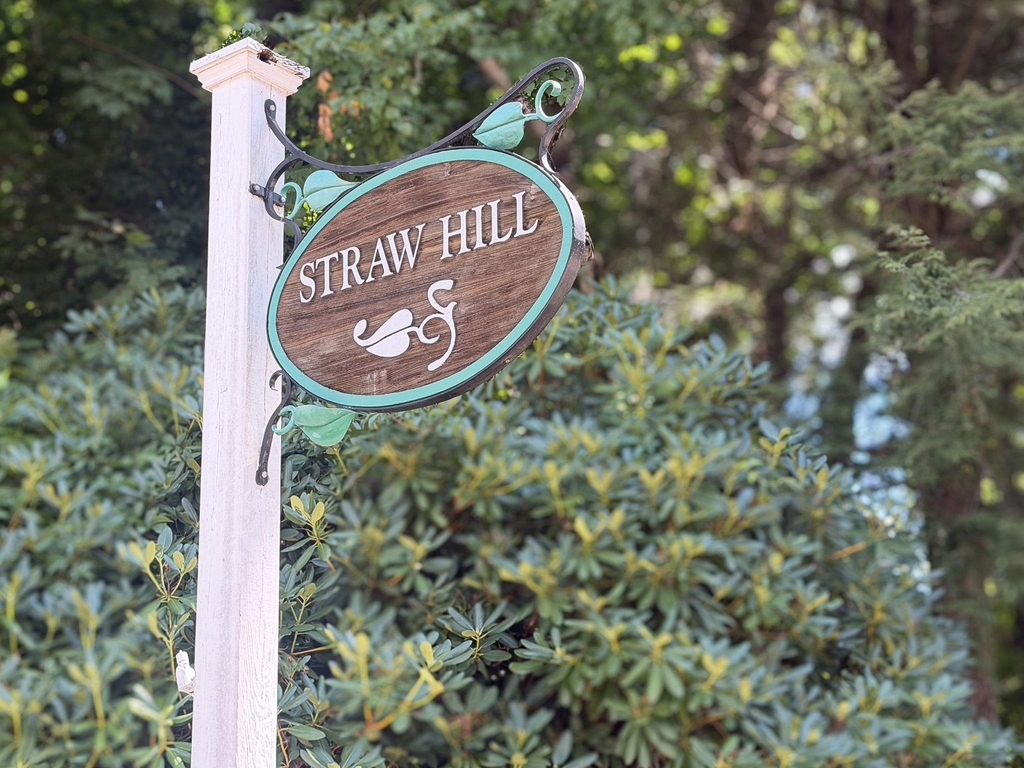 203 Straw Hill - Photo 4