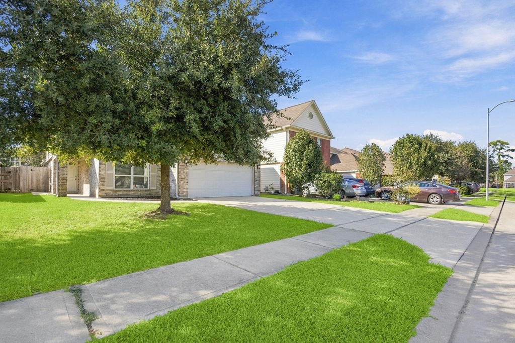11007 Bauer Elm Street - Photo 3