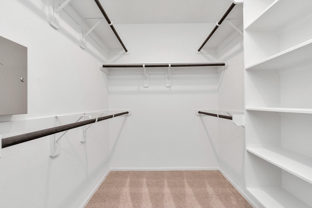 2916 Cordova Hill Drive - Photo 38