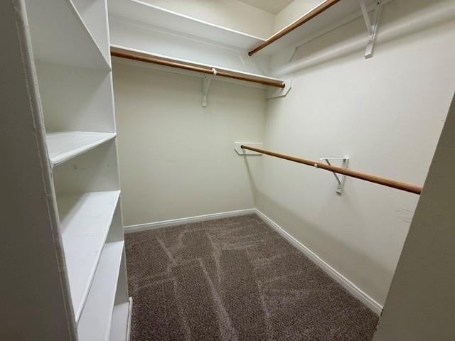24427 Tucker House Lane - Photo 8