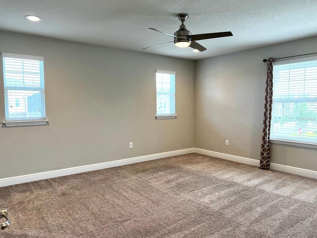 18814 Cornuta Street - Photo 29