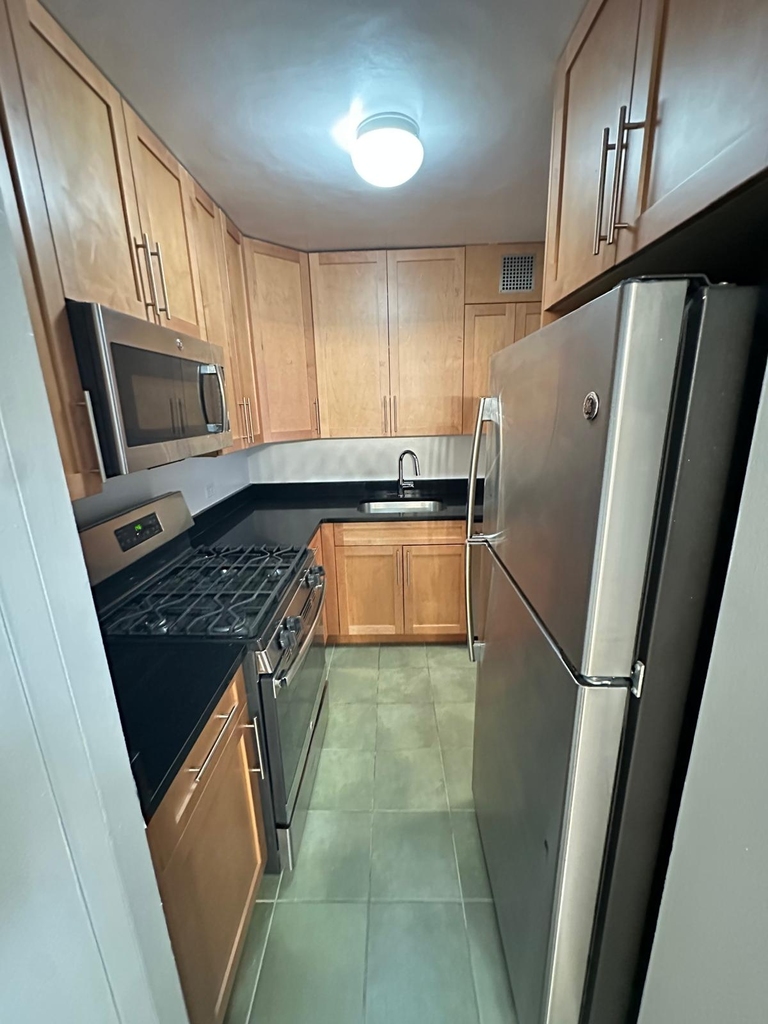 350 West 51st Street - Photo 1
