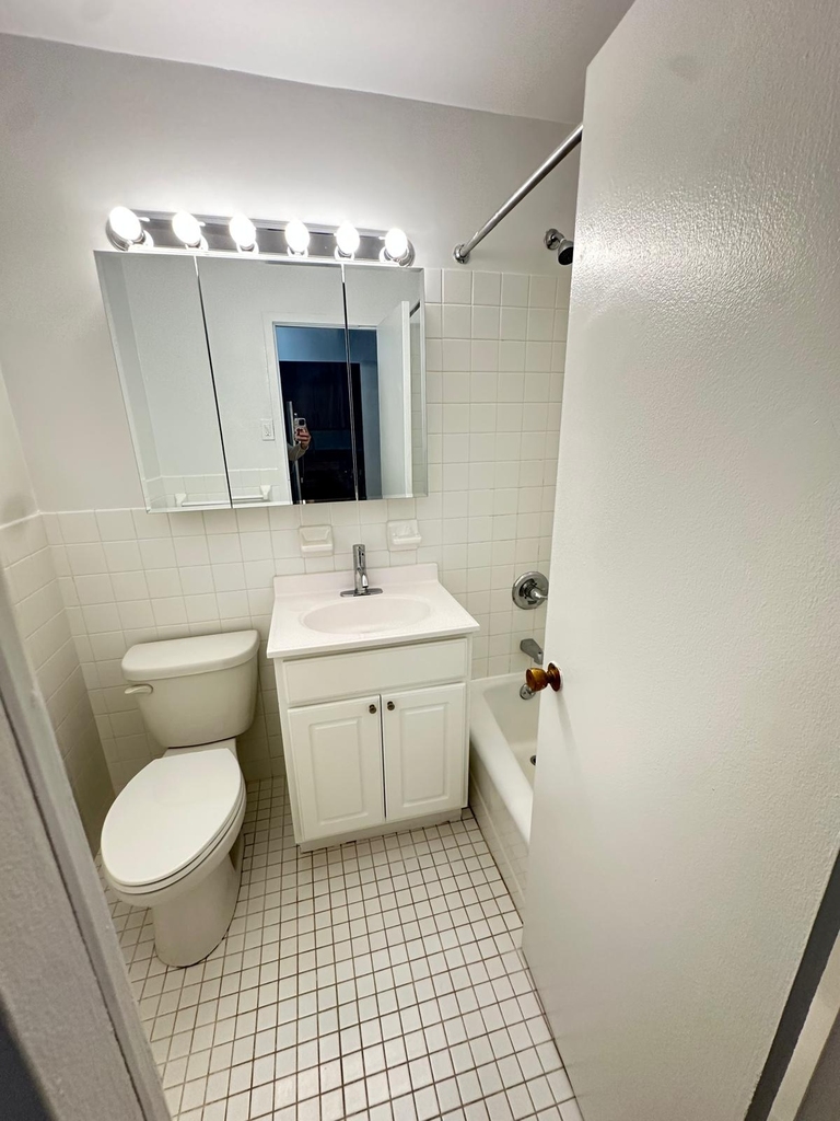 350 West 51st Street - Photo 8