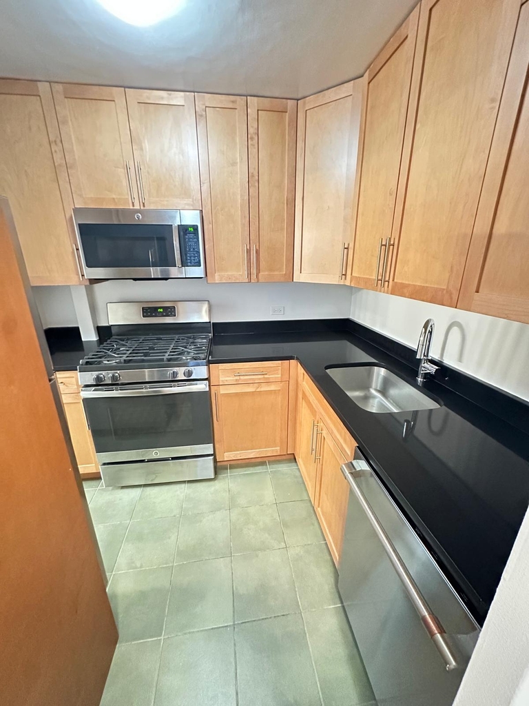 350 West 51st Street - Photo 0