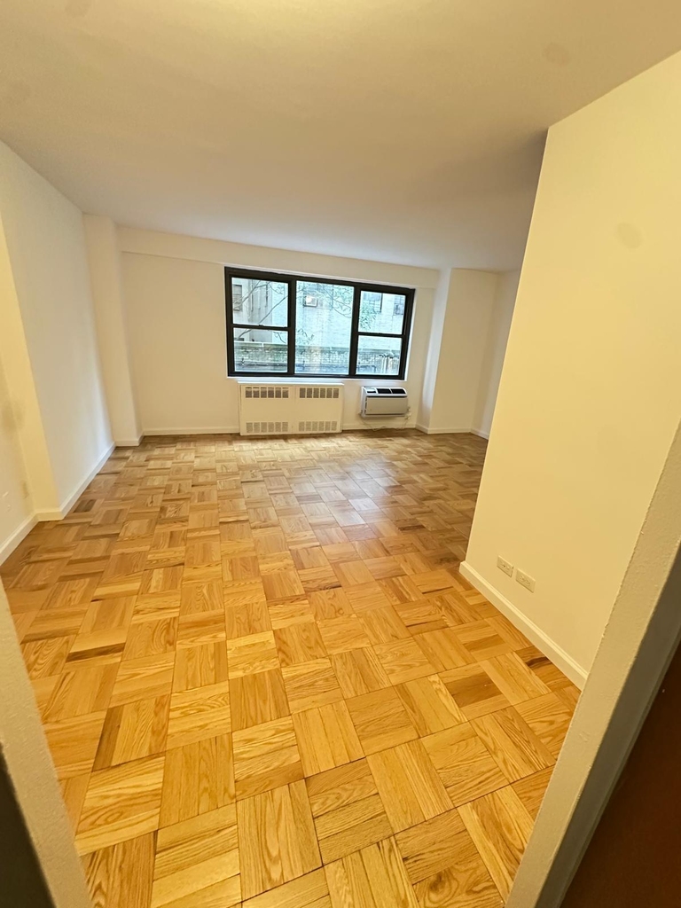 350 West 51st Street - Photo 6