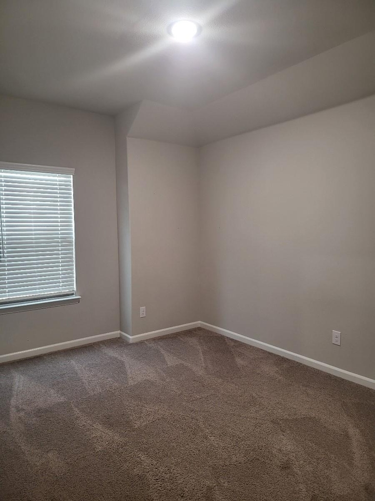 2439 Rocky Mountain Drive - Photo 16