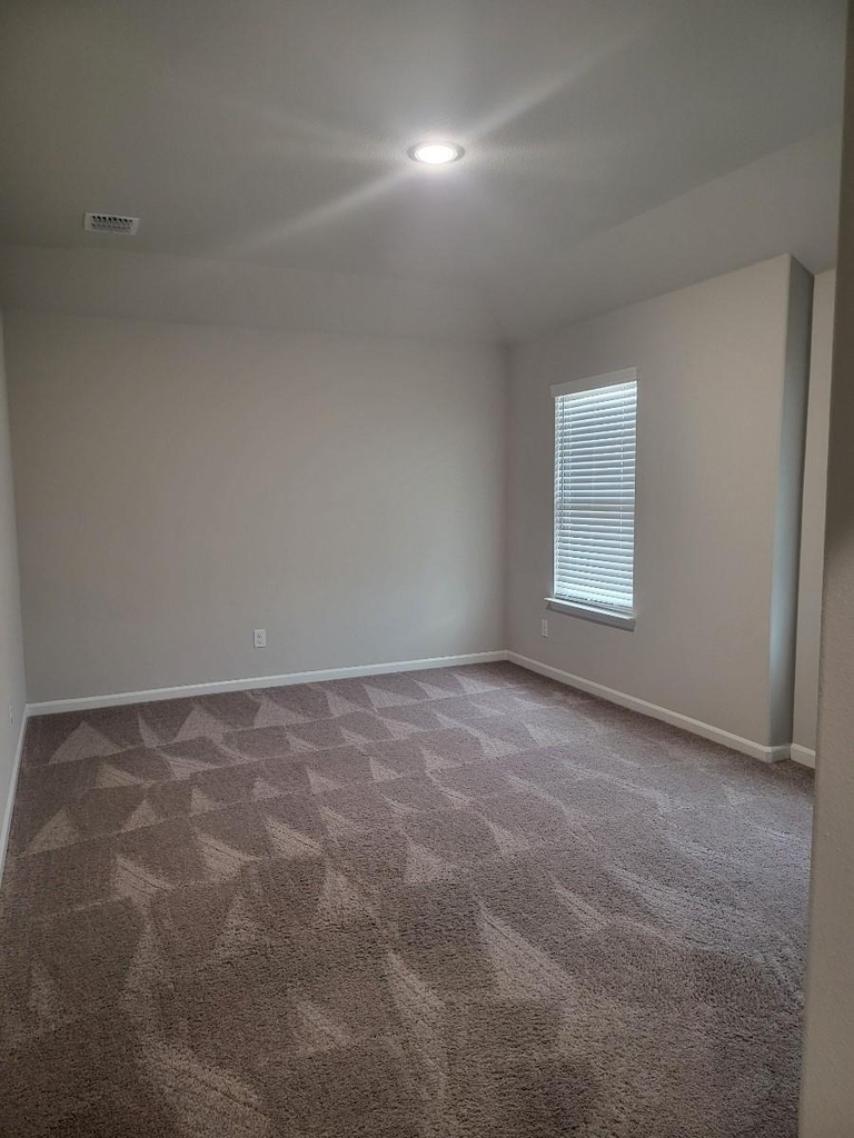 2439 Rocky Mountain Drive - Photo 17