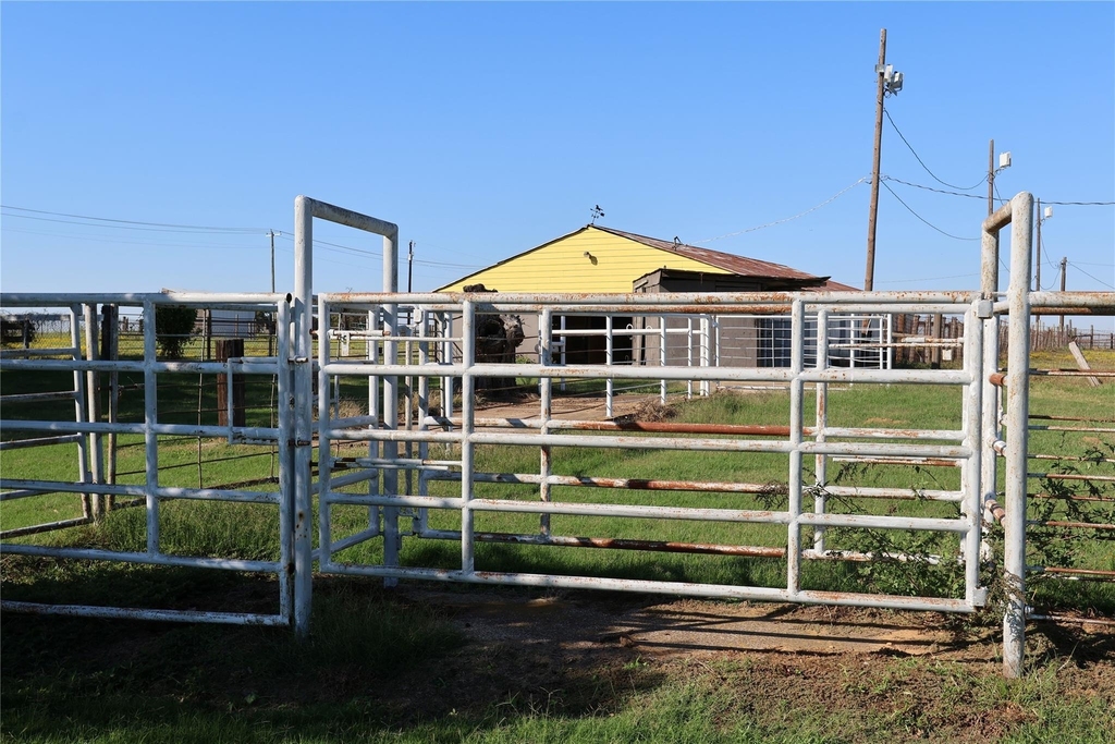 3800 Dr Griffin Road - Photo 11