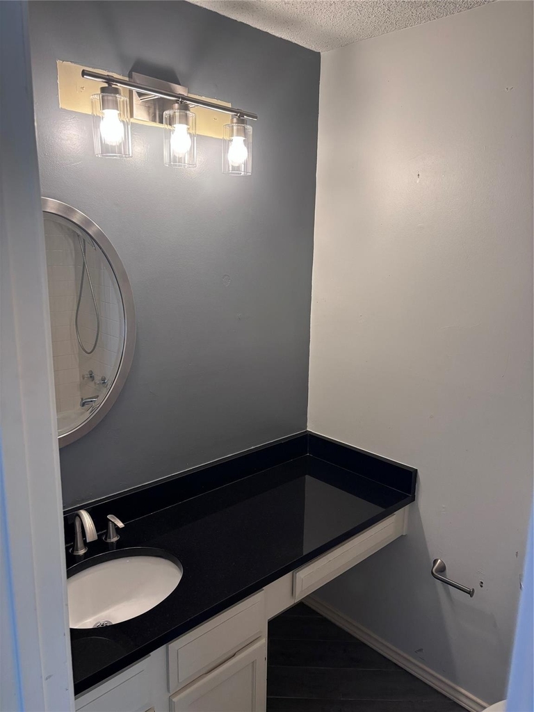 111 Glade Shadow Drive - Photo 11