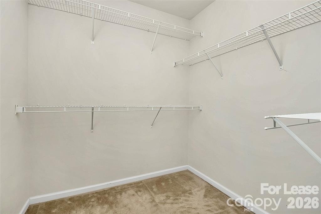 7494 Red Mulberry Lane - Photo 16