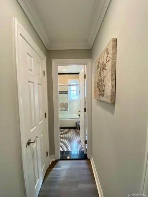 303 Robinson Avenue - Photo 4