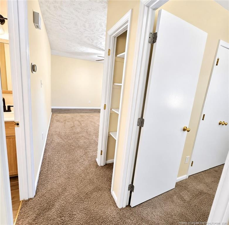 7046 Philippi Church Road - Photo 12