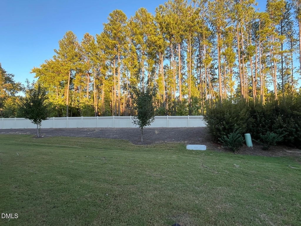 1347 Rosepine Drive - Photo 42