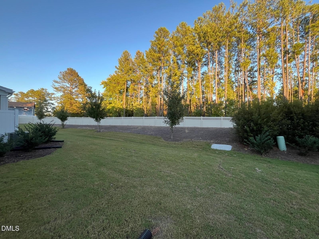 1347 Rosepine Drive - Photo 41