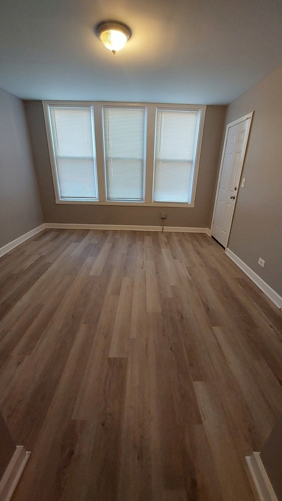 4817 S Laflin Street - Photo 2