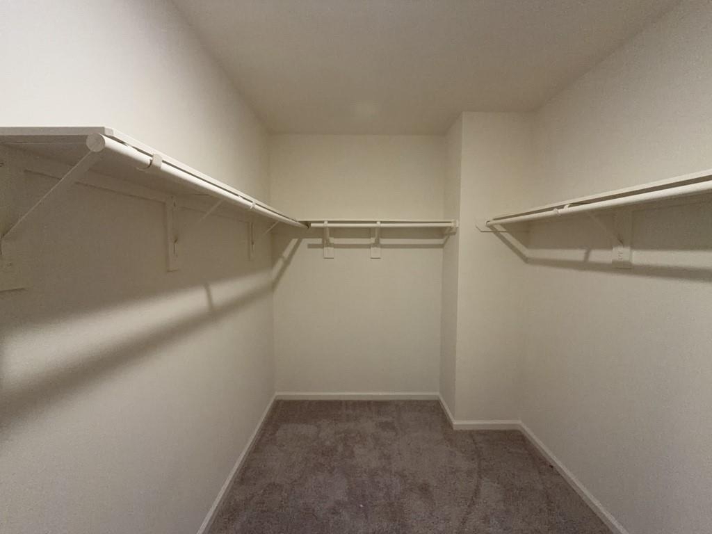 18618 Hunter William Way - Photo 12