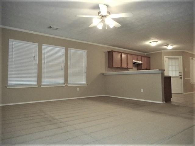 10410 Scenic Vista Drive - Photo 4