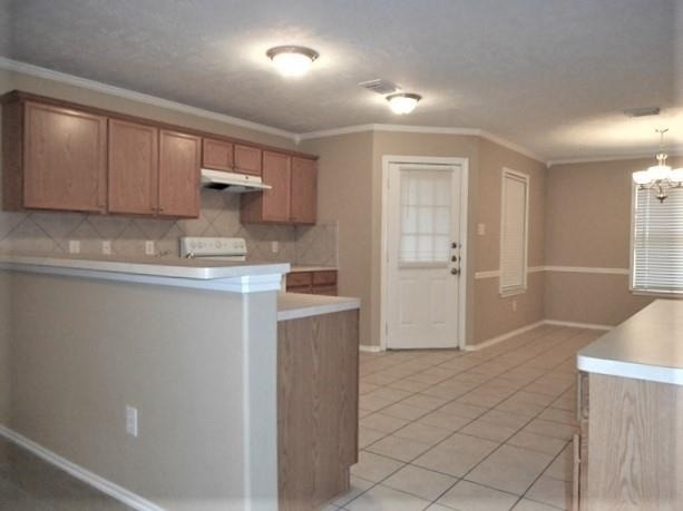 10410 Scenic Vista Drive - Photo 1