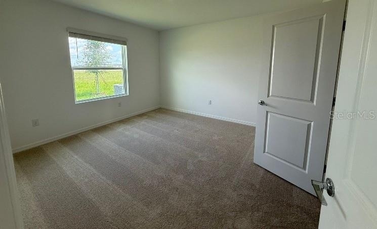 4737 Babys Breath Place - Photo 8